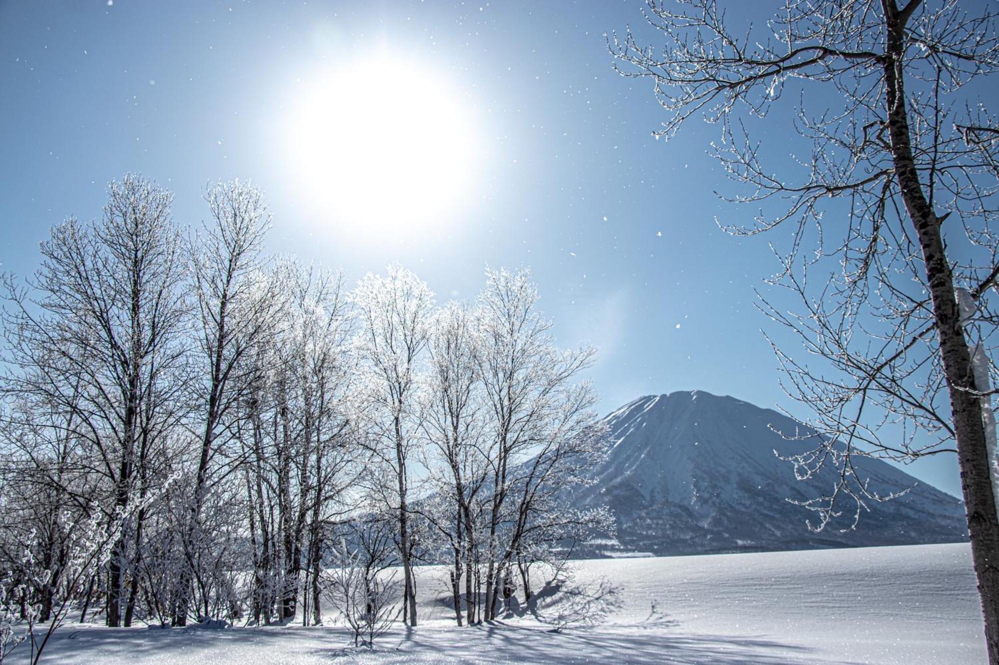 Pension Berg Niseko Zewnętrze zdjęcie